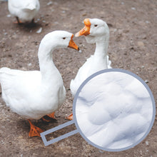 Load image into Gallery viewer, Duck Feather Duvet Insert/Quilt Hotel Quality - Super Single/Queen/King - Zoe Home®